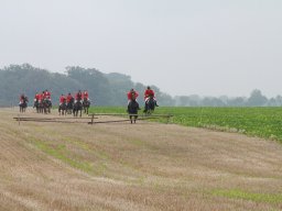 img_5960_web